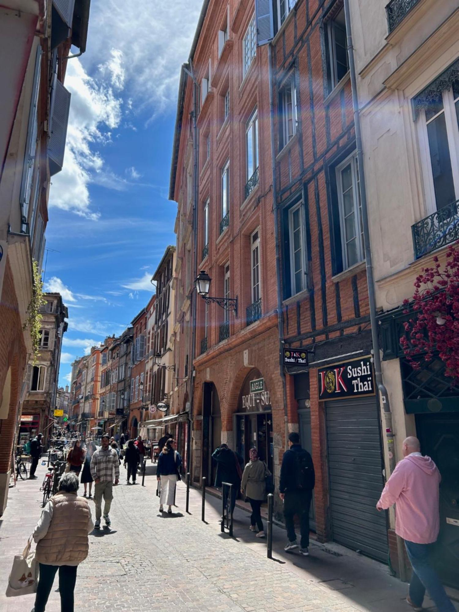 Au Charme Des Carmes - T1 Sur Cour - Metro A & B Leilighet Toulouse Eksteriør bilde